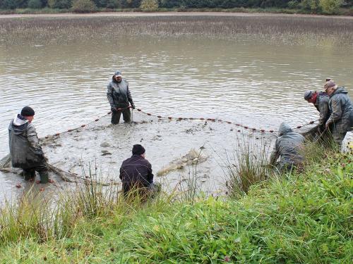 Abfischen im Oktober Abfischen im Oktober