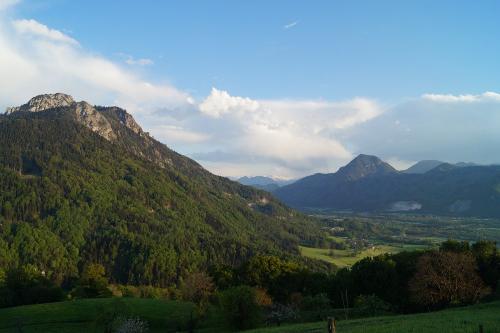 Sommerausblick