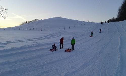 Rodelspaß im Winter