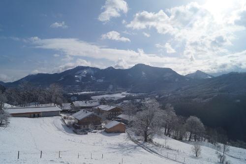 Sattelberg im Winter