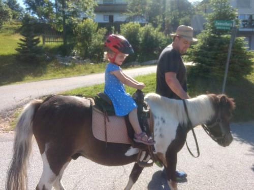 Reiten auf Pony Lukas