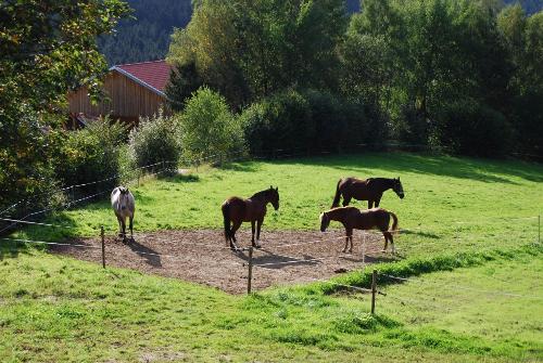 Ausblick vom Balkon