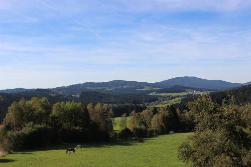 Aussicht vom Hof