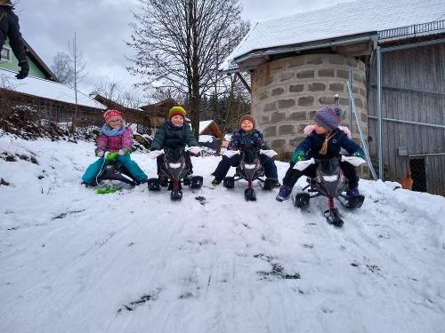 Schlittenfahren