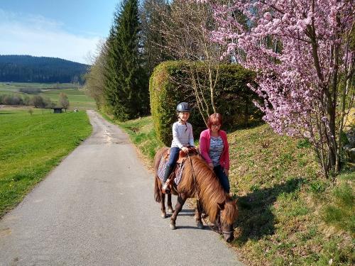 Reiten mit Pony Lexi