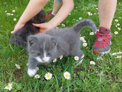 20220511_131616436752 20220511_131616436752