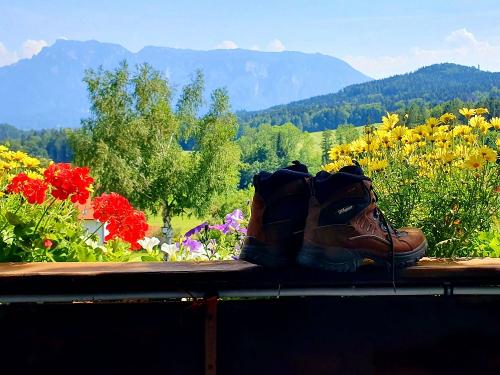 20220720_153358 20220720_153358