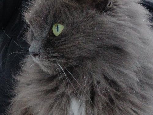 20260108_155542 20260108_155542