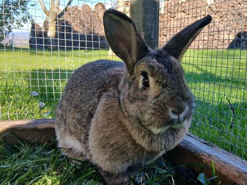 20251105_142720 20251105_142720