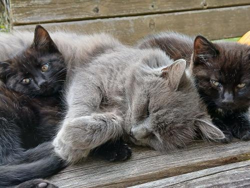 20251011_155304 20251011_155304