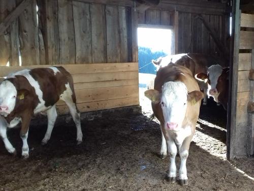 20210509_185336437705 20210509_185336437705