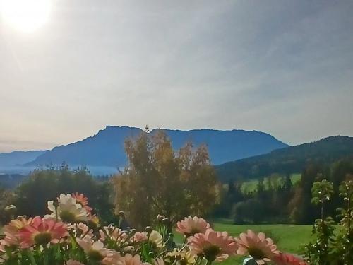 20251019_100422 20251019_100422