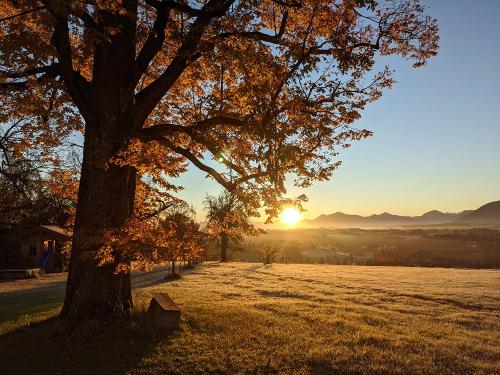 Herbstmorgen am Lettigenbichl