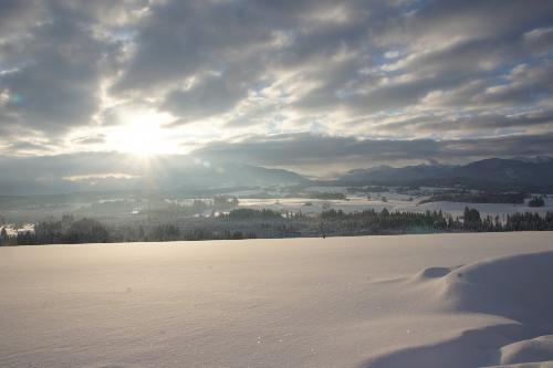 Winter am Lettigenbichl