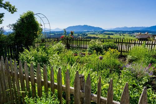 unser Bauerngarten