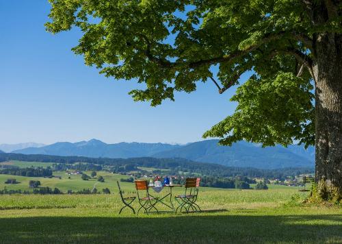 Weitblick im Garten