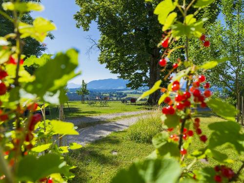"beerige" Aussicht "beerige" Aussicht