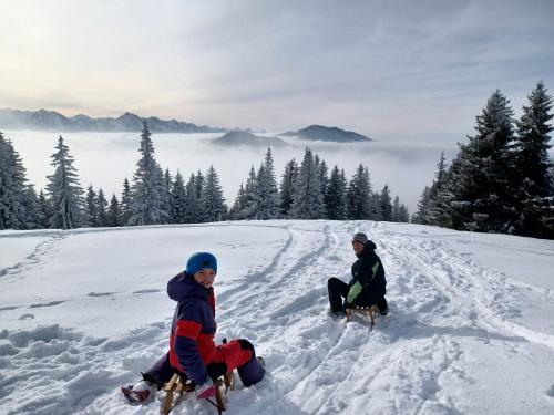 Schlittenfahrt Hörnle Schlittenfahrt Hörnle