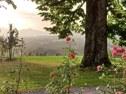 Herbst Impression Herbst Impression