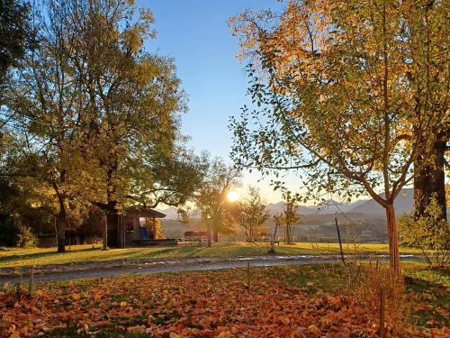 Herbst am Lettigenbichl Herbst am Lettigenbichl