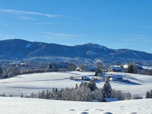 Winterbild auf den Lettigenbichl Winterbild auf den Lettigenbichl
