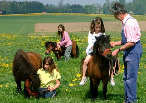 Ponys