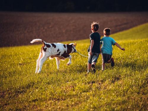 1017DSC_8922- 1017DSC_8922-