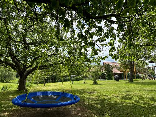 Blick auf Spielwiese vom Obstgarten Blick auf Spielwiese vom Obstgarten
