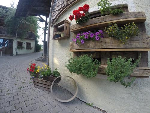 Blumen am Haus