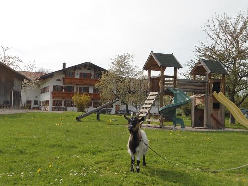 Haus, Spielplatz