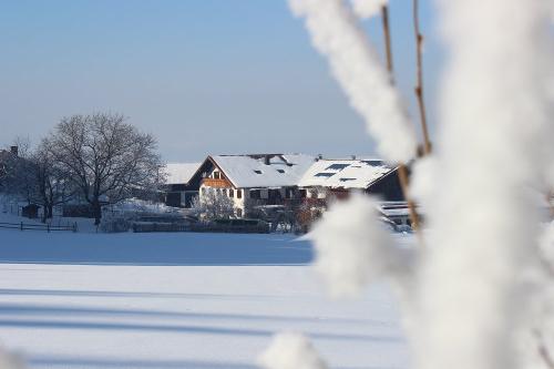 Nechlhof-Winter