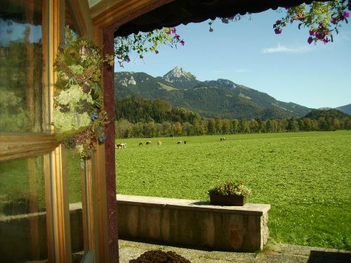 Ausblick vor der Haustür