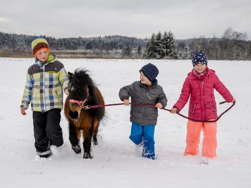 web_wastleicherhof_0223-98