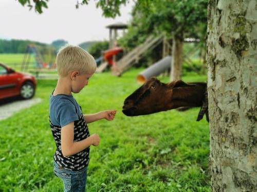 Begegnung mit Levi