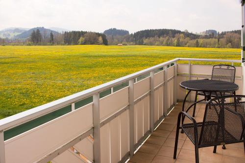 Blick vom Balkon auf die schier unendlich weiten Löwenzahnfelder