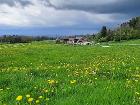 Frühling in Dürrenbach