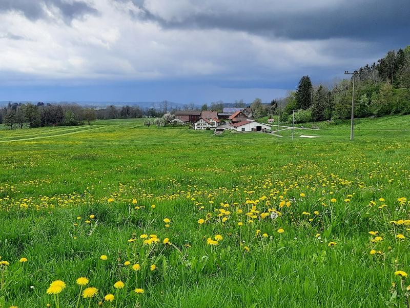 Frühling in Dürrenbach