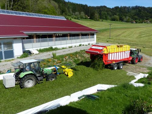 Bei der Grünlandernte