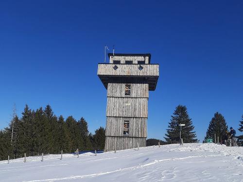 Alpkönigblick im Winter