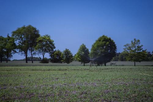 Aussicht von der Terrasse Landsicht