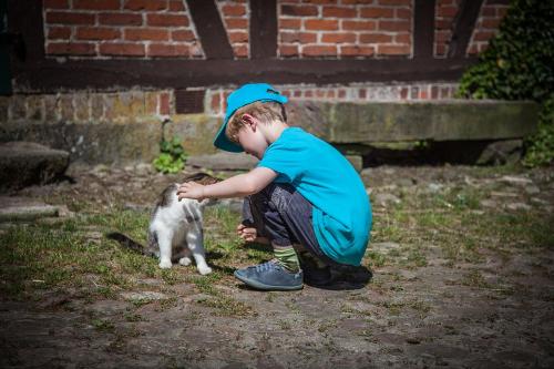 Feriengast mit Katze