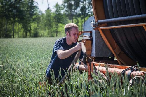 Landwirtschaft hautnah erleben