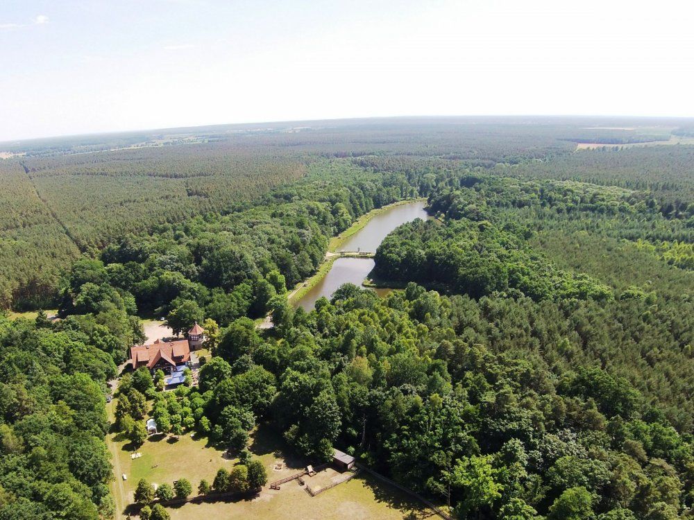 neuemhleimstadtforst