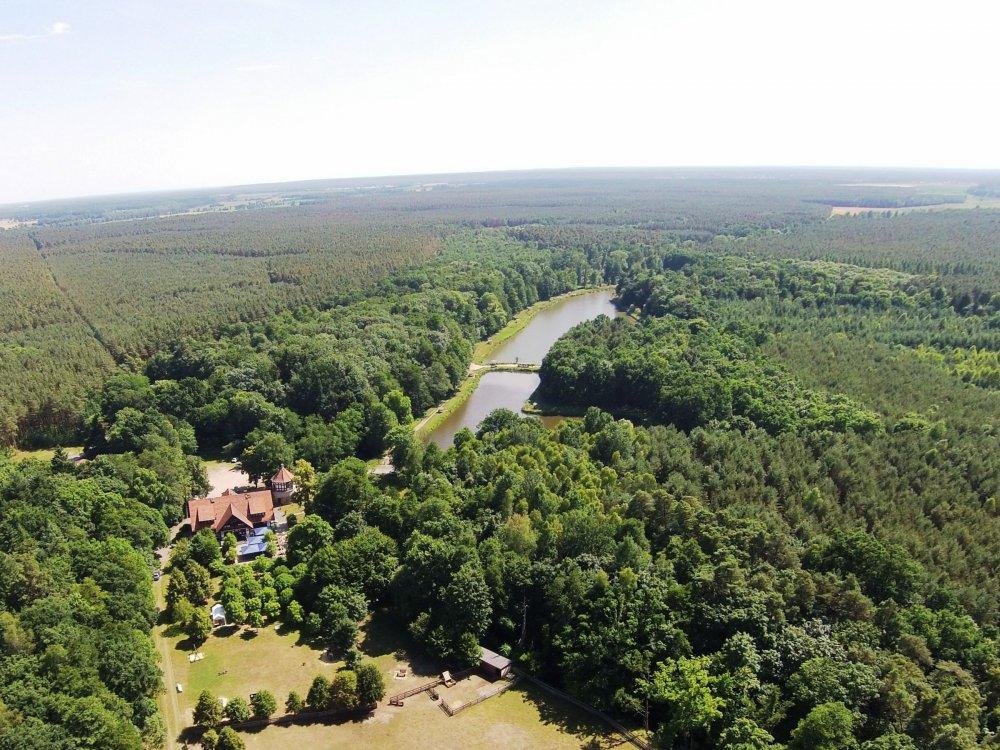 neuemhleimstadtforst