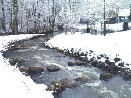 fischtreppeneuemhle