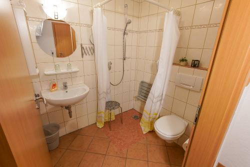 FeWo5_Borsch_Bad