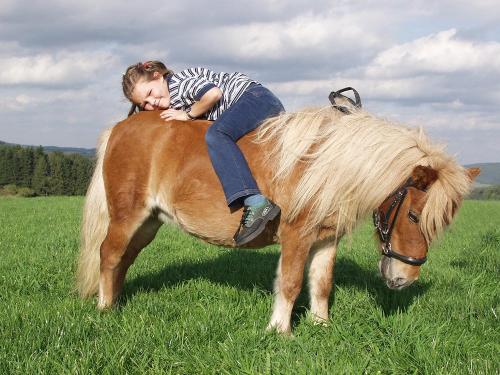 Ponyreiten