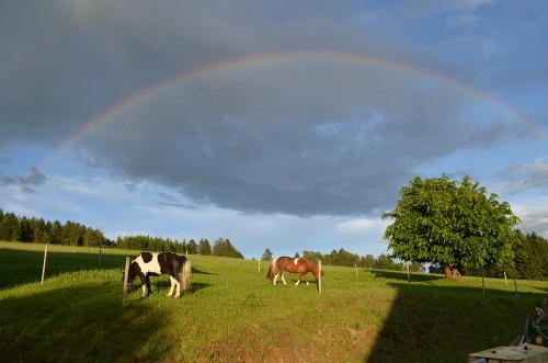 Unterm Regenbogen