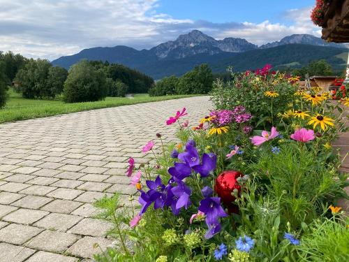 Blumen, Sommerlandschaft