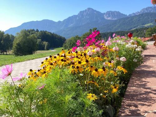 Blumen, Sommerlandschaft